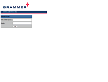 Tablet Screenshot of online.cz.brammer.biz